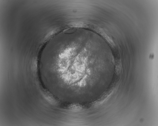 X0000116800207201001151130
