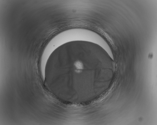 X0000116800209201001151130