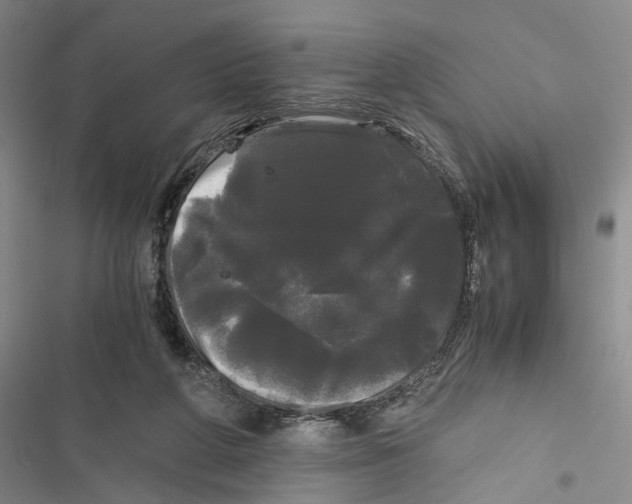 X0000116800210201001151130