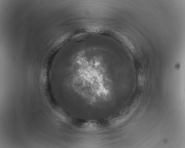 X0000116800211201001151130