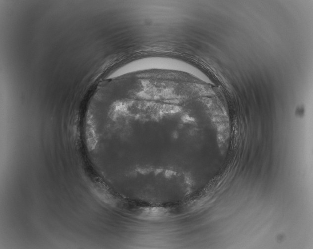 X0000116800212201001151130