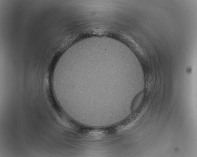 X0000116800213201001151129