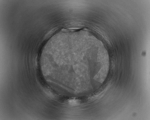X0000116800216201001151129