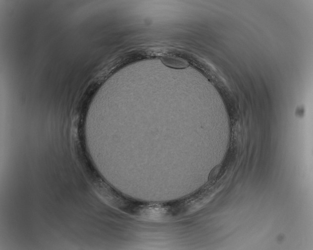 X0000116800217201001151129