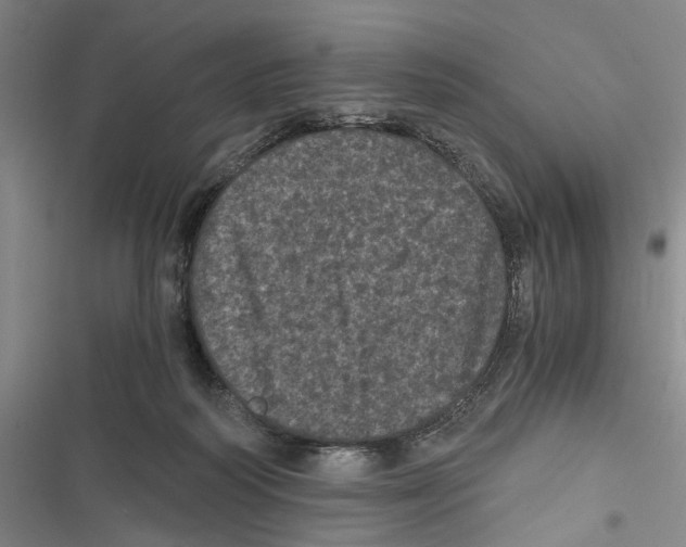 X0000116800218201001151129