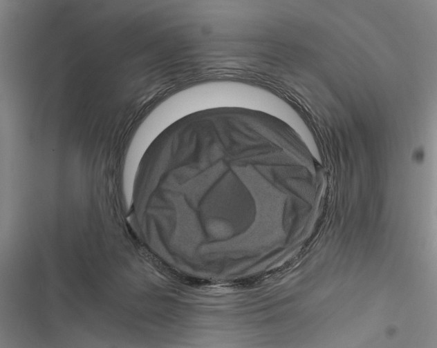 X0000116800219201001151129