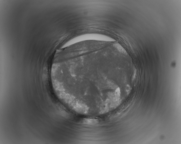 X0000116800220201001151129