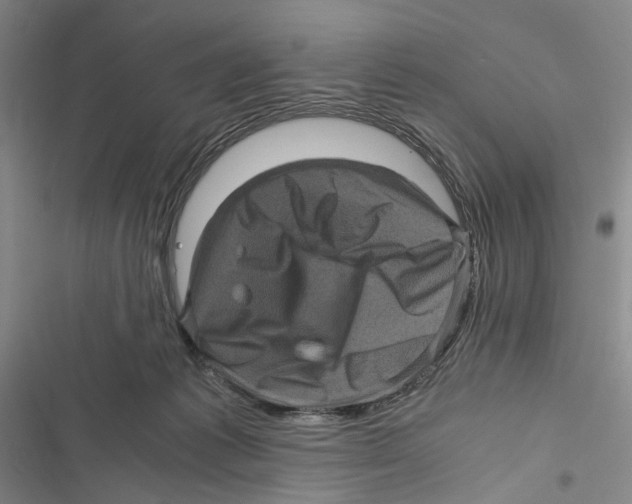 X0000116800221201001151129