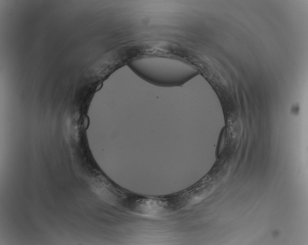 X0000116800223201001151129