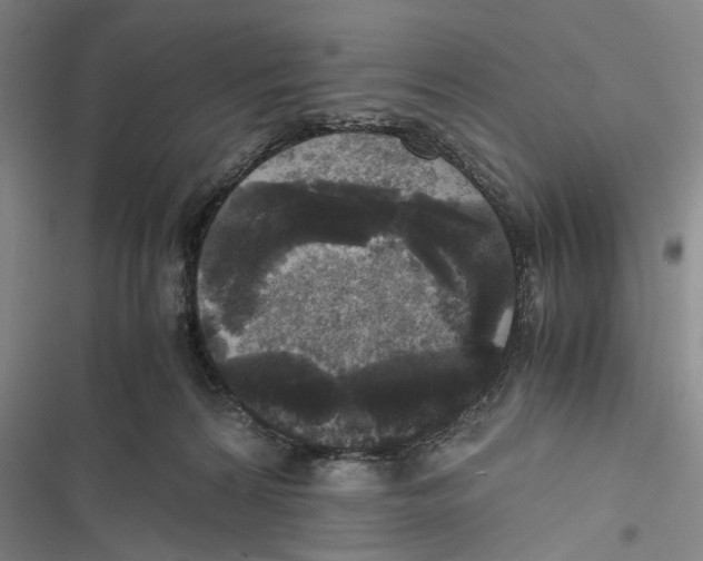 X0000116800224201001151129