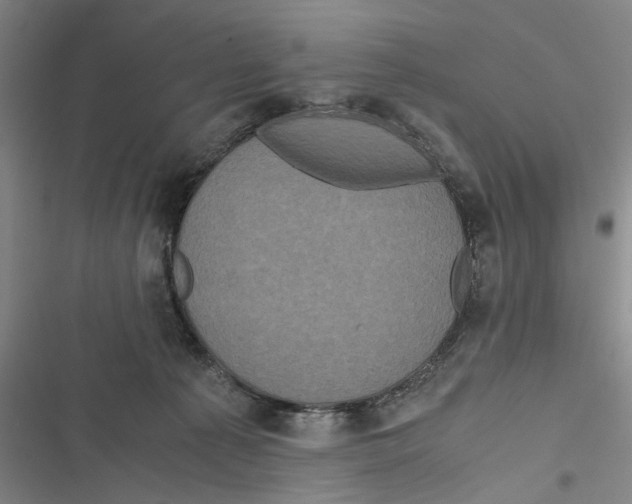 X0000116800225201001151129