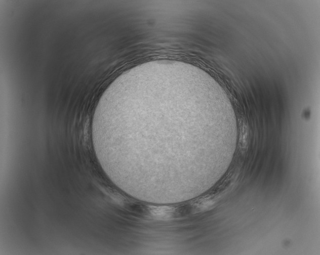 X0000116800226201001151129