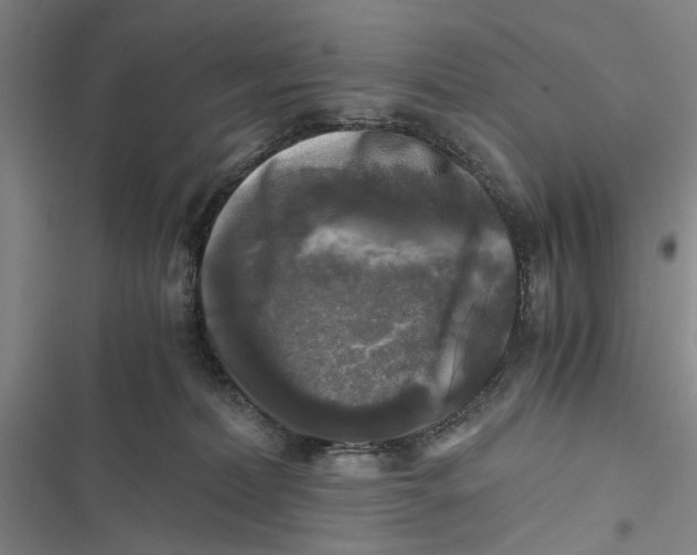 X0000116800228201001151129