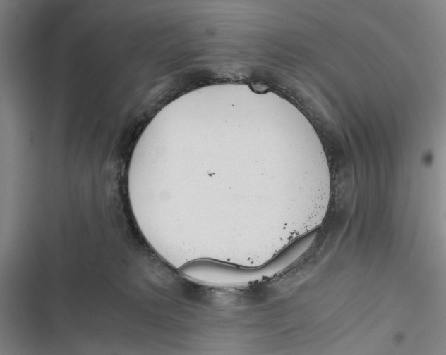 X0000116800229201001151129
