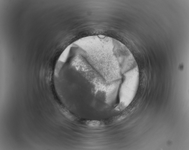 X0000116800230201001151129