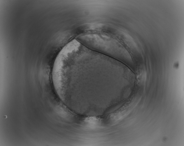 X0000116800231201001151129