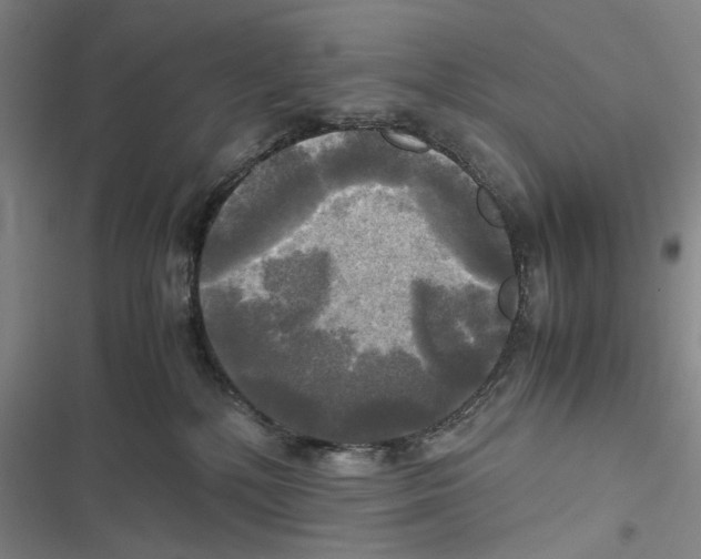 X0000116800232201001151129