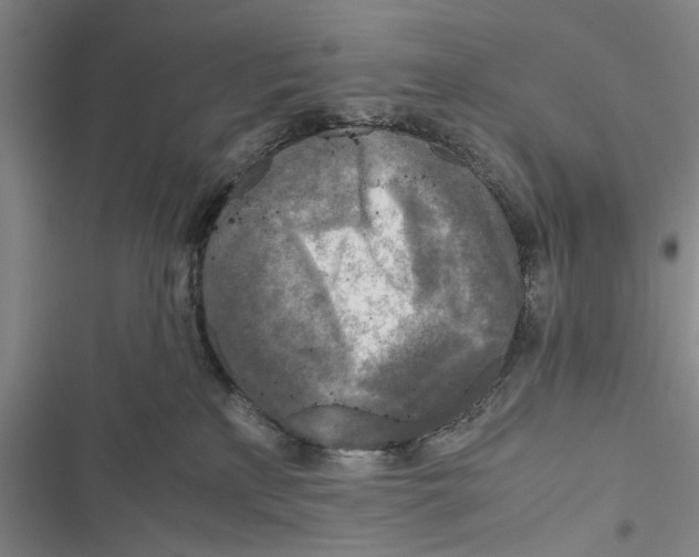 X0000116800233201001151129