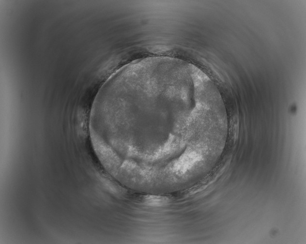 X0000116800234201001151129