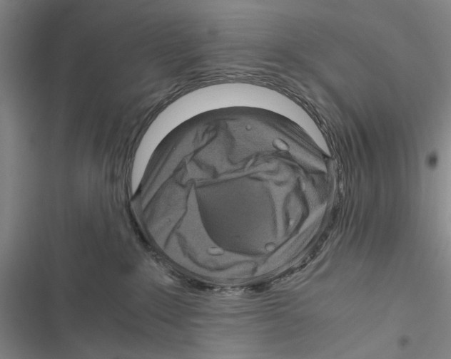 X0000116800235201001151129