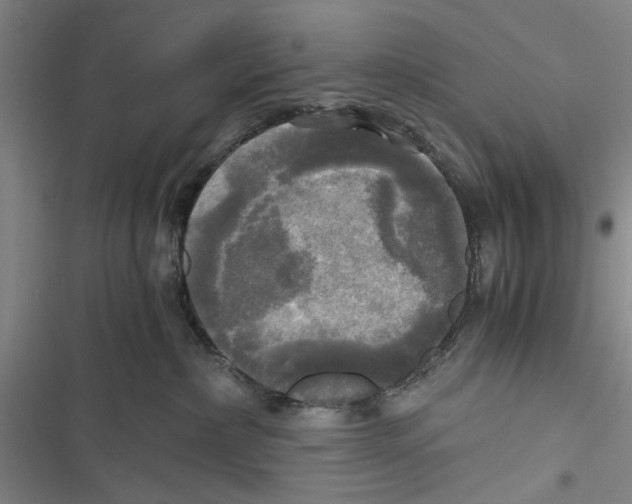 X0000116800236201001151129