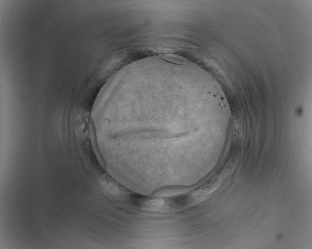X0000116800237201001151129