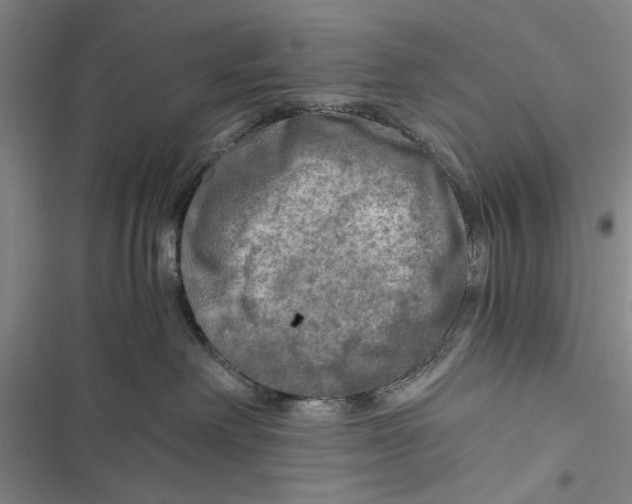 X0000116800238201001151129