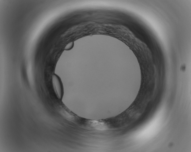 X0000116800239201001151129