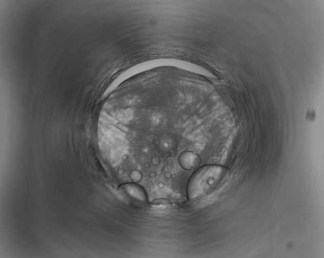 X0000116800240201001151129