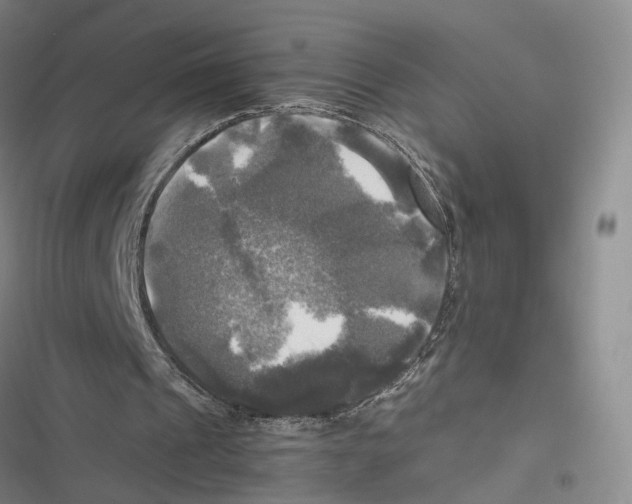X0000116800241201001151128