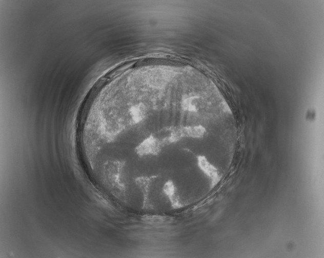 X0000116800242201001151128