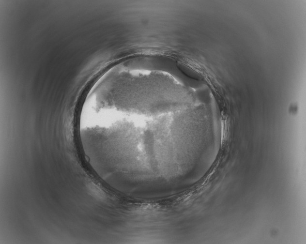 X0000116800243201001151129