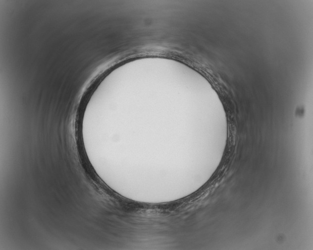 X0000116800244201001151129