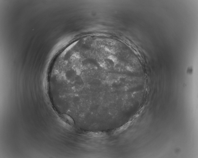 X0000116800245201001151129