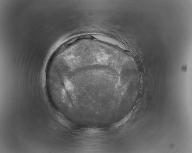 X0000116800246201001151129