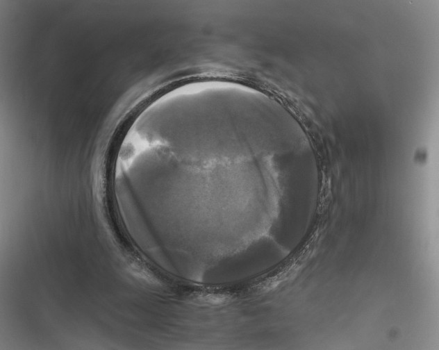 X0000116800247201001151129