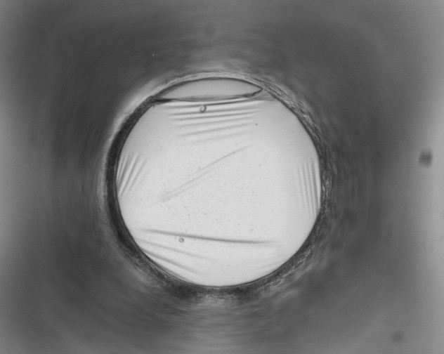 X0000116800248201001151129