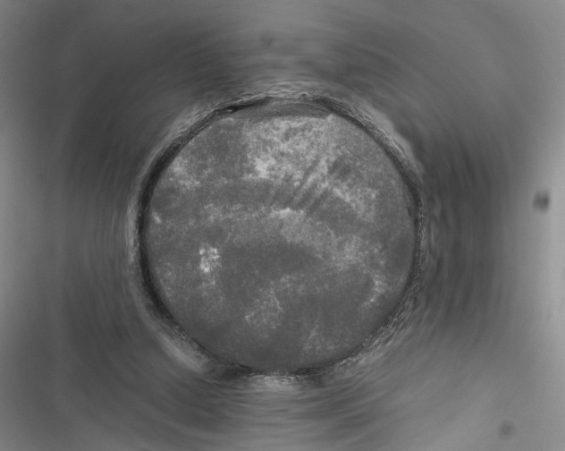 X0000116800250201001151129
