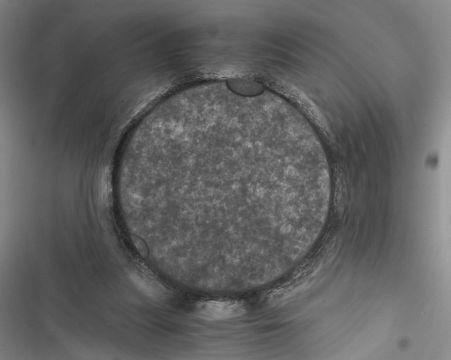 X0000116800251201001151129