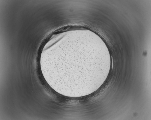 X0000116800252201001151129