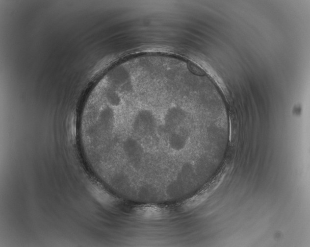 X0000116800253201001151129