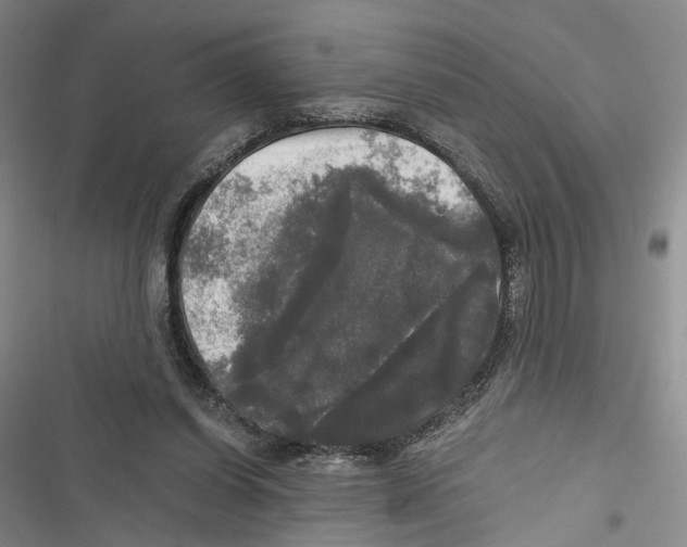 X0000116800254201001151129