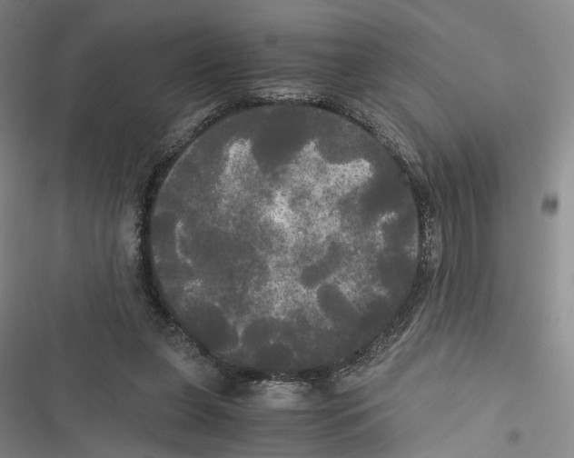 X0000116800255201001151129