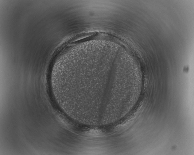 X0000116800256201001151129
