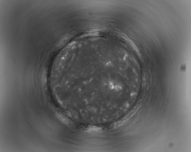 X0000116800257201001151129