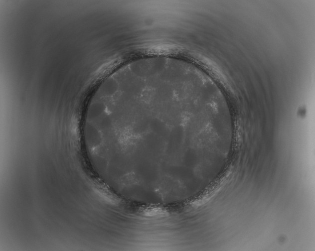 X0000116800258201001151129