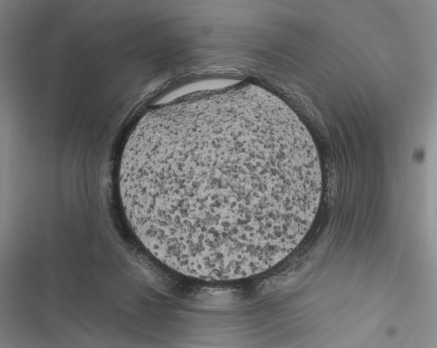 X0000116800260201001151129