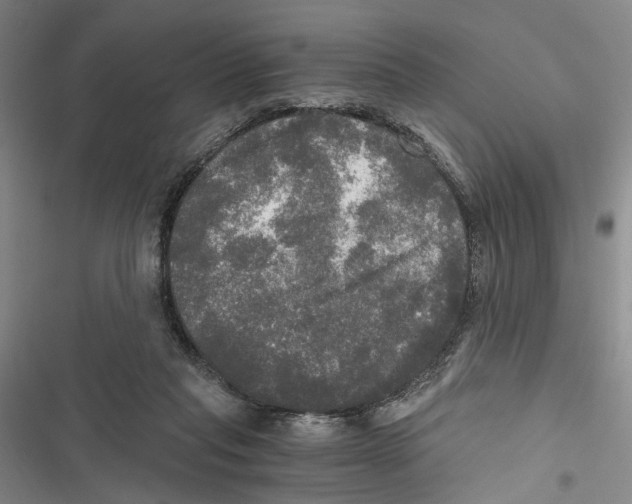 X0000116800261201001151129