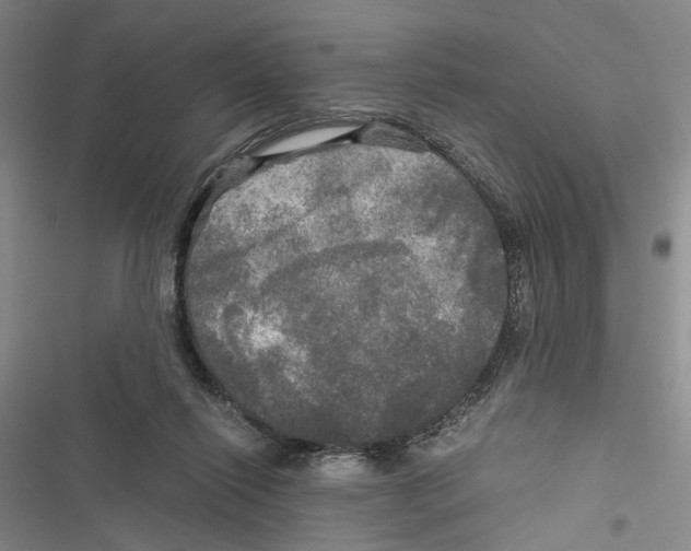 X0000116800262201001151129