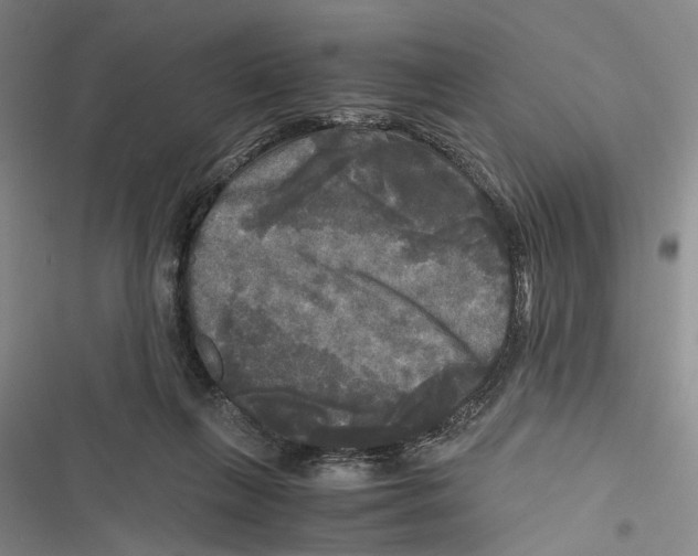 X0000116800263201001151129